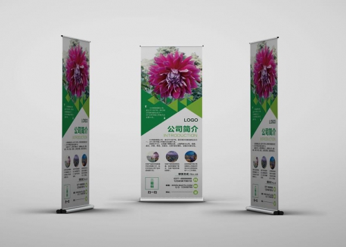 易拉寶常規尺寸有那些？